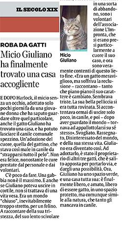 L'adozione del gatto Giuliano in questo articolo della giornalista Sondra Coggio su Il Secolo XIX.
 
Per agevolarne la lettura  riportiamo qui sotto il contenuto dell’articolo in maniera integrale:
 
E dopo Harlock, il micio senza un occhio, adottato solo pochi giorni fa da una giovane donna che ha saputo guardare oltre quel particolare, anche il gatto Giuliano ha trovato una casa, e ha potuto lasciare il canile comunale spezzino.
Un’adozione del cuore, quella del gattino, che stava così male in canile da “strapparsi tutto il pelo”.
Non era felice, nonostante le cure prestate dal personale e dai volontari.
C’è poco da fare. Una gabbia non è il massimo. E anche se Giuliano poteva uscire in cortile, non si trattava di una vita vera.
Era un mondo “chiuso”, inevitabilmente troppo stretto, per un felino.
A raccontare della sua tristezza, del suo lento scivolare in una sorta di abbandono, sono i volontari dell’associazione L’Impronta, che si erano presi particolarmente a cuore il suo caso, e ora sono veramente contenti di questo lieto fine.
“Era un gatto meraviglioso, ma soffriva la reclusione – raccontano – tanto che piano piano il suo carattere è cambiato.
Sembrava triste. La sua bella pelliccia si era tutta rovinata. Si accontentava ormai di uscire solo poco, in canile, e poi – dopo aver guardato il mondo – tornava ad appallottolarsi su sé stesso”.
Svogliato. Rassegnato. Disinteressato del mondo e della sua stessa vita. Giuliano era diventato così.
Ad adottarlo, è stato il proprietario di altri tre gatti, che è salito apposta per portarlo via, e dargli una possibilità.
Ora, Giuliano ha uno spazio verde, e una casa tutta sua: è finalmente libero, e amato, libero di essere gatto, in uno spazio protetto, ma comunque simile alla natura, che tanto gli mancava in canile.